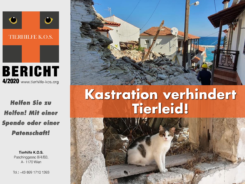 Tierhilfe-KOS-Bericht_42020_SAMOS_Erdbeben Titelbild