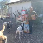 Futter für Straßenhunde auf KOS