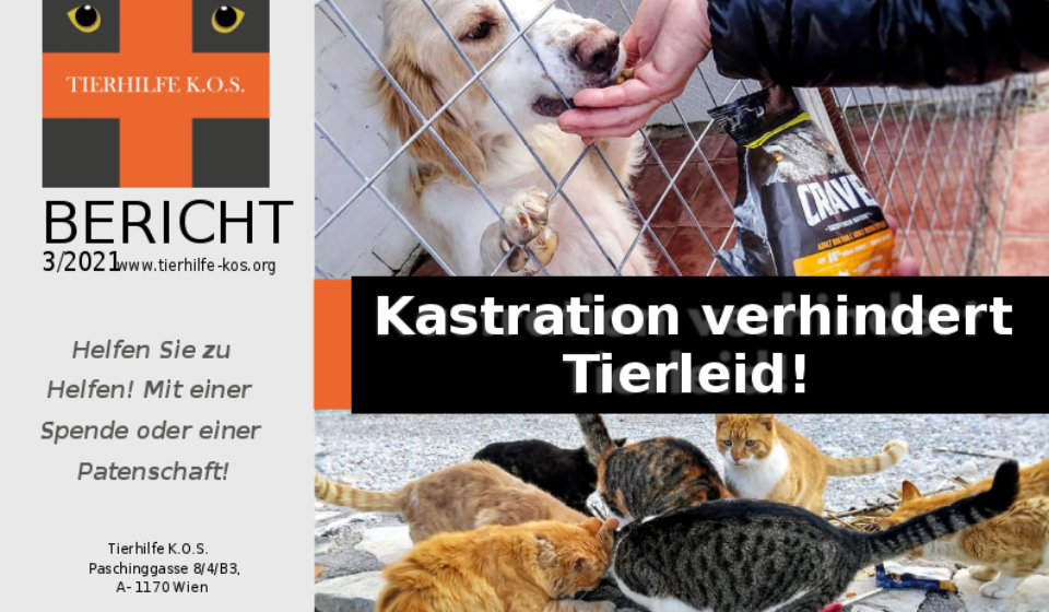 Tierhilfe-KOS-Bericht_3-2021_September