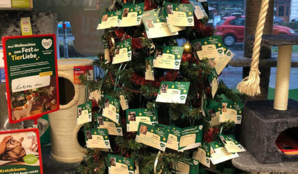 Wähle ein Kärtchen vom Weihnachtsbaum, kaufe ein und lege deine Spende unter den Baum. So hilft Du den Straßentieren in Griechenland